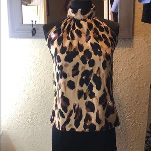Cheetah halter